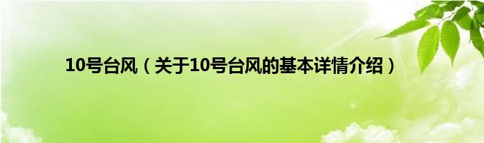 10号台风（关于10号台风的基本详情介绍）