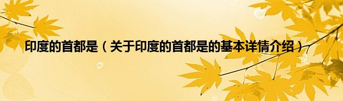 印度的首都是（关于印度的首都是的基本详情介绍）