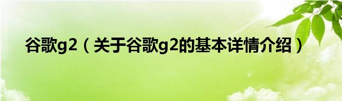 谷歌g2（关于谷歌g2的基本详情介绍）
