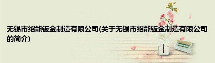 无锡市绍能钣金制造有限公司(关于无锡市绍能钣金制造有限公司的简介)