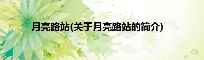 月亮路站(关于月亮路站的简介)