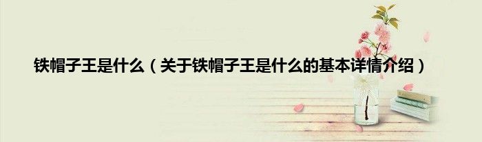 铁帽子王是什么（关于铁帽子王是什么的基本详情介绍）