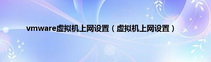 vmware虚拟机上网设置（虚拟机上网设置）