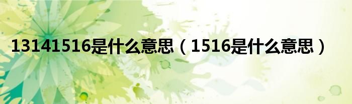 13141516是什么意思（1516是什么意思）