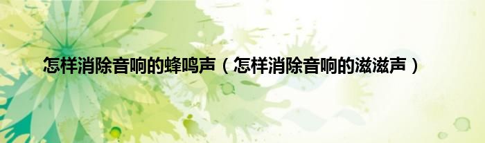 怎样消除音响的蜂鸣声（怎样消除音响的滋滋声）