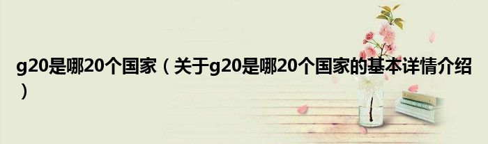 g20是哪20个国家（关于g20是哪20个国家的基本详情介绍）