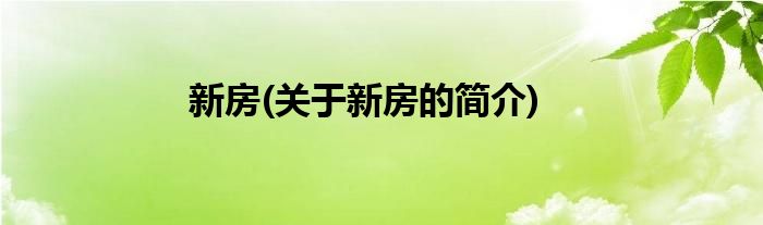 新房(关于新房的简介)
