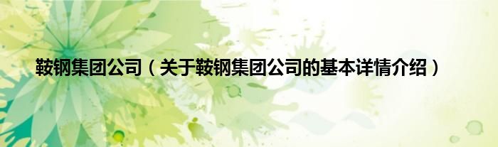 鞍钢集团公司（关于鞍钢集团公司的基本详情介绍）