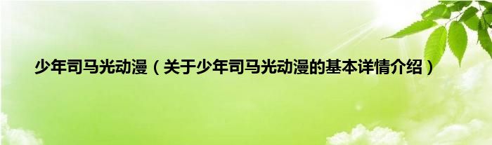 少年司马光动漫（关于少年司马光动漫的基本详情介绍）