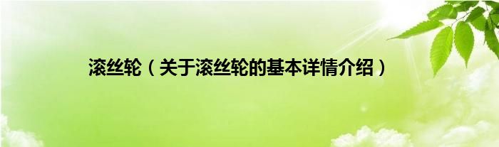 滚丝轮（关于滚丝轮的基本详情介绍）