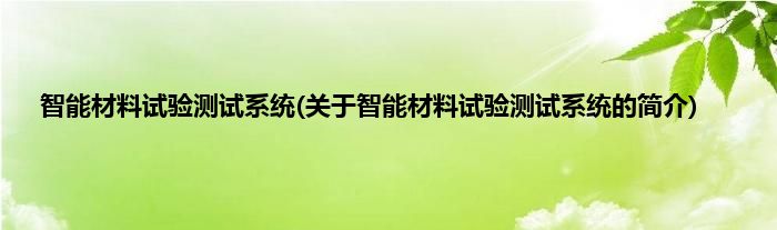 智能材料试验测试系统(关于智能材料试验测试系统的简介)