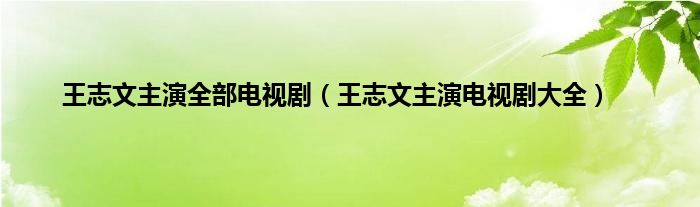王志文主演全部电视剧（王志文主演电视剧大全）