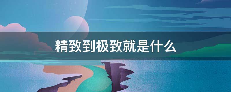 精致到极致就是什么