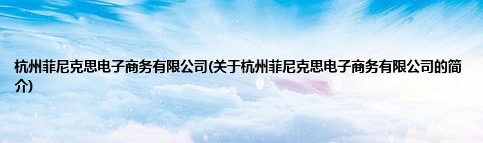 杭州菲尼克思电子商务有限公司(关于杭州菲尼克思电子商务有限公司的简介)