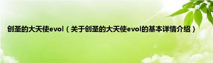 创圣的大天使evol（关于创圣的大天使evol的基本详情介绍）