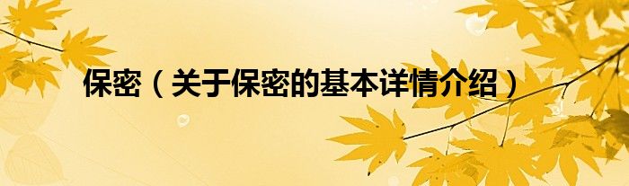 保密（关于保密的基本详情介绍）