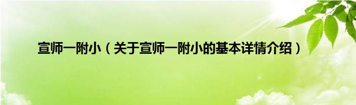 宣师一附小（关于宣师一附小的基本详情介绍）
