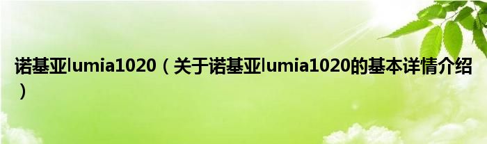 诺基亚lumia1020（关于诺基亚lumia1020的基本详情介绍）