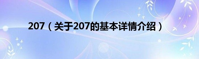 207（关于207的基本详情介绍）