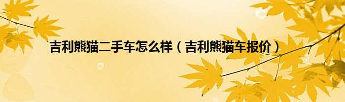 吉利熊猫二手车怎么样（吉利熊猫车报价）