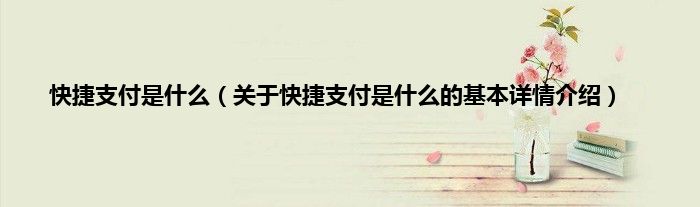 快捷支付是什么（关于快捷支付是什么的基本详情介绍）