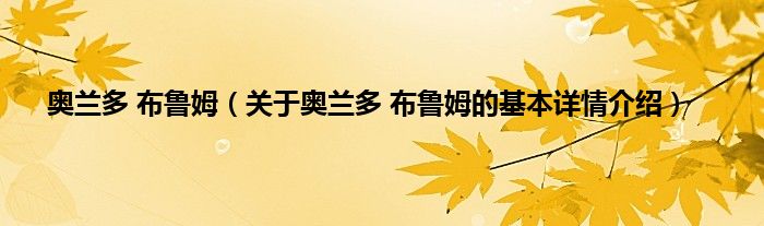 奥兰多 布鲁姆（关于奥兰多 布鲁姆的基本详情介绍）
