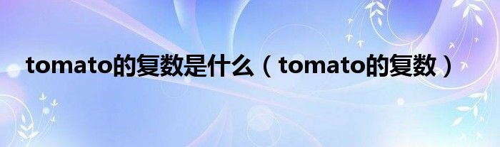 tomato的复数是什么（tomato的复数）