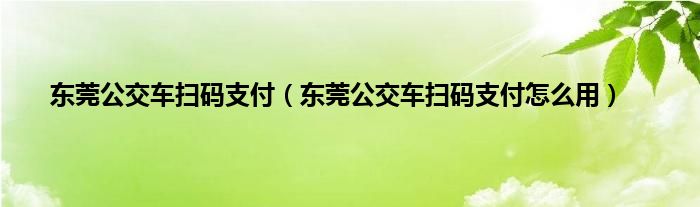 东莞公交车扫码支付（东莞公交车扫码支付怎么用）
