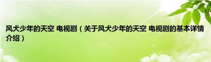 风犬少年的天空 电视剧（关于风犬少年的天空 电视剧的基本详情介绍）