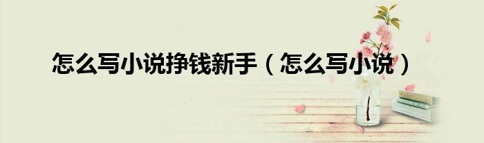 怎么写小说挣钱新手（怎么写小说）
