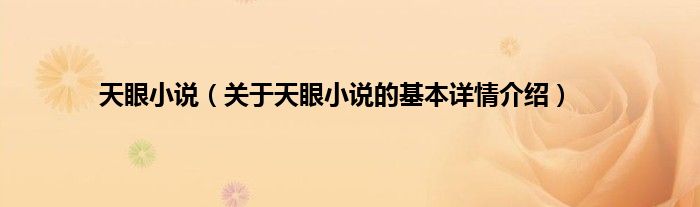 天眼小说（关于天眼小说的基本详情介绍）