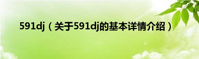 591dj（关于591dj的基本详情介绍）