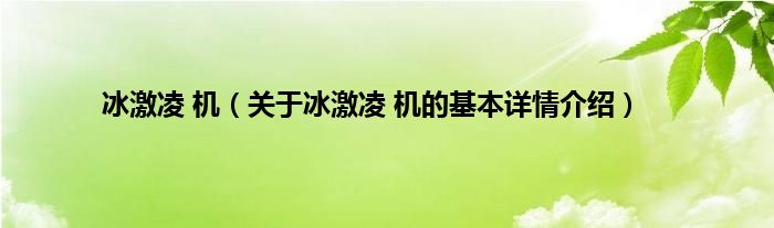 冰激凌 机（关于冰激凌 机的基本详情介绍）