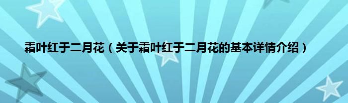 霜叶红于二月花（关于霜叶红于二月花的基本详情介绍）