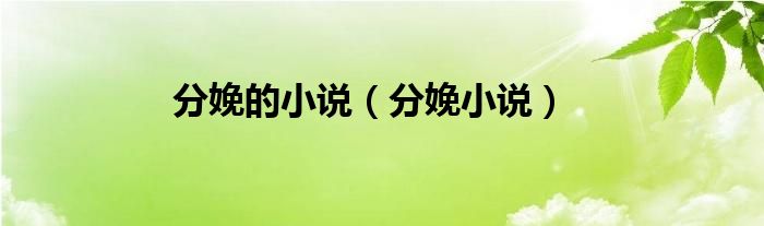 分娩的小说（分娩小说）