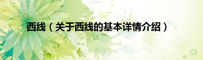 西线（关于西线的基本详情介绍）