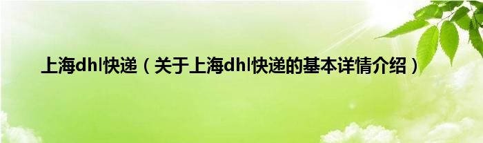 上海dhl快递（关于上海dhl快递的基本详情介绍）