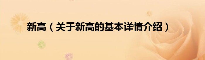 新高（关于新高的基本详情介绍）