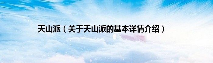 天山派（关于天山派的基本详情介绍）