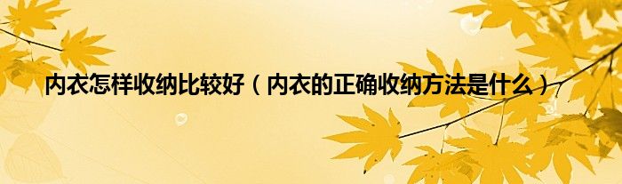 内衣怎样收纳比较好（内衣的正确收纳方法是什么）