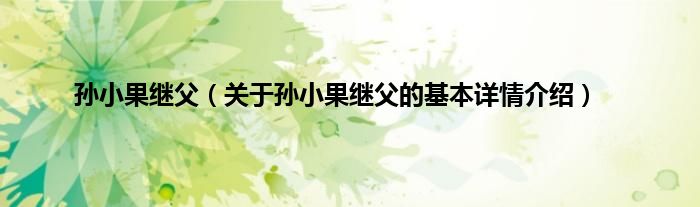 孙小果继父（关于孙小果继父的基本详情介绍）