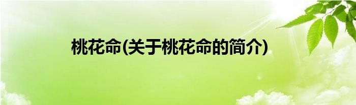 桃花命(关于桃花命的简介)