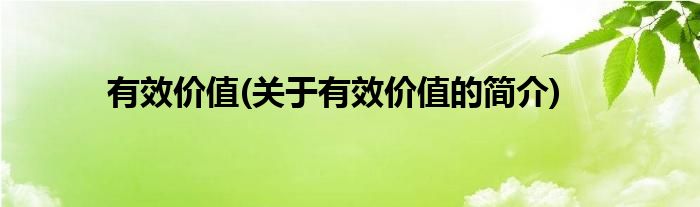 有效价值(关于有效价值的简介)